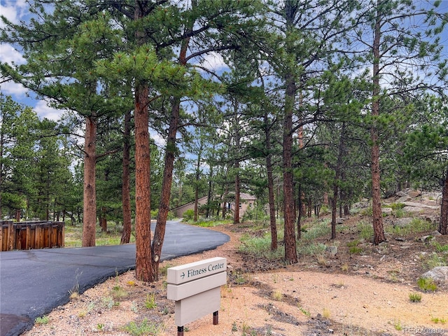 232 Fox Acres Dr W, Red Feather Lakes, CO 80545 - photo 25