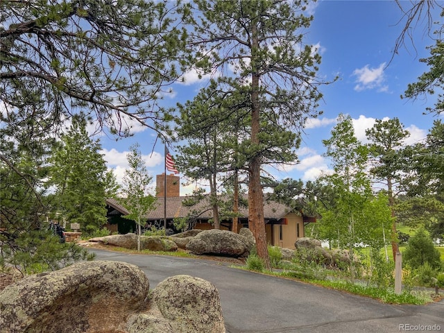 232 Fox Acres Dr W, Red Feather Lakes, CO 80545 - photo 28