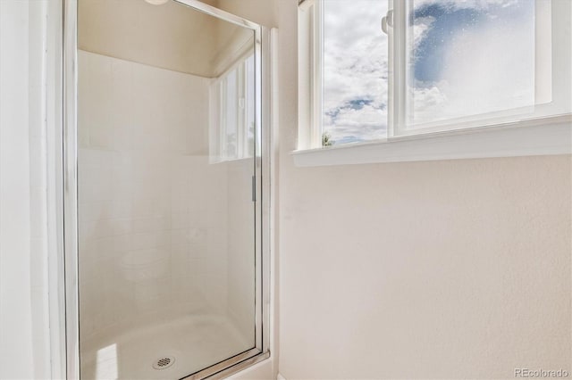 4848 Fenwood Dr, Highlands Ranch, CO 80130 - bathroom with a stall shower