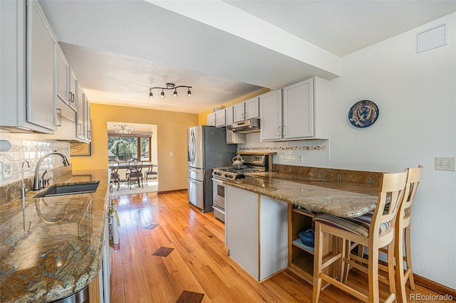 kitchen featuring light wood finished floors, appliances with stainless steel finishes, a sink, under cabinet range hood, and backsplash