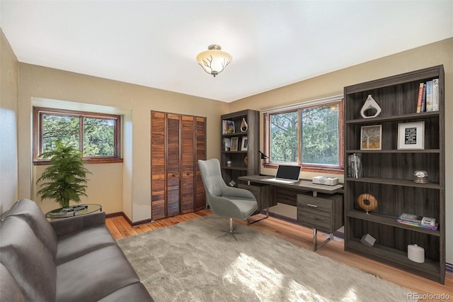 home office featuring wood finished floors and baseboards