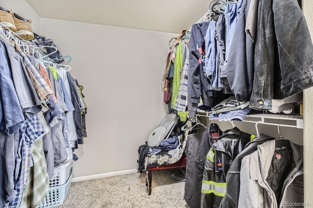 spacious closet with carpet