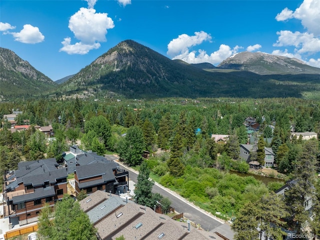 310 Creekside Aly Unit 4, Frisco, CO 80443 - mountain view with a heavily wooded area