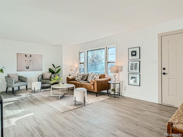 living room featuring light hardwood / wood-style floors