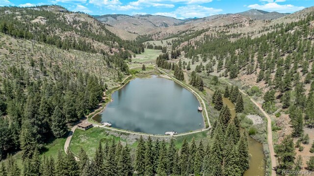 13950 Pine Valley Rd, Pine, CO 80470 - photo 45
