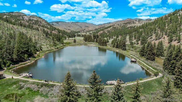 13950 Pine Valley Rd, Pine, CO 80470 - photo 46