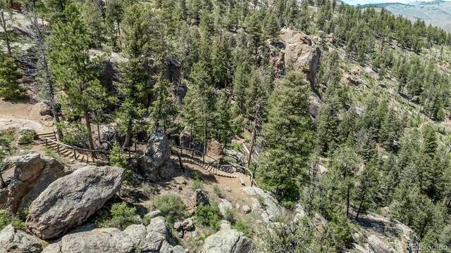 13950 Pine Valley Rd, Pine, CO 80470 - photo 47