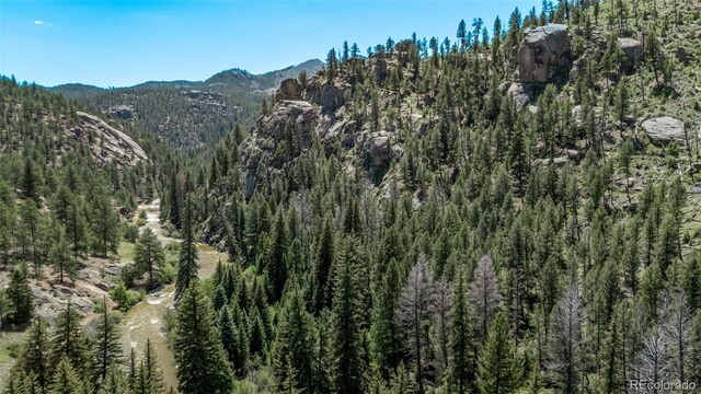 13950 Pine Valley Rd, Pine, CO 80470 - photo 48