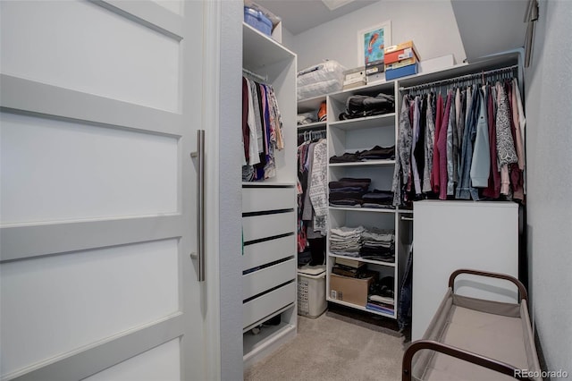 spacious closet featuring carpet flooring