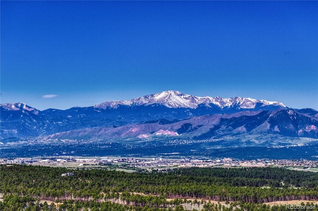 14745 Millhaven Pl, Colorado Springs, CO 80908 - photo 5