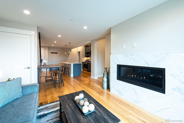 living room with a fireplace, sink, and hardwood / wood-style flooring