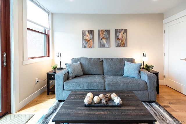 living room featuring light hardwood / wood-style floors