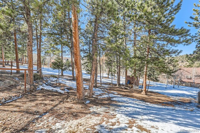 view of yard covered in snow