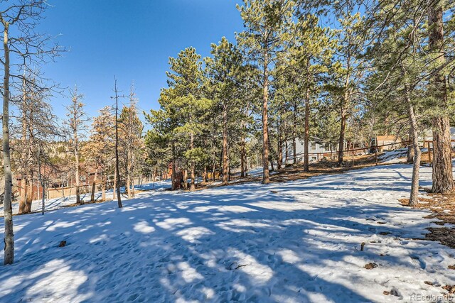 view of yard covered in snow