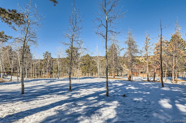 view of snowy yard