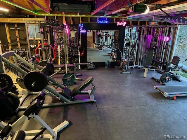 41 Yew Ln, Bailey, CO 80421 - view of gym