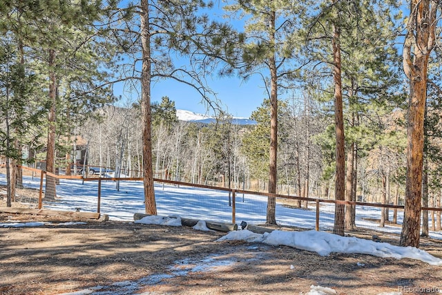 41 Yew Ln, Bailey, CO 80421 - yard layered in snow featuring a mountain view and a view of trees