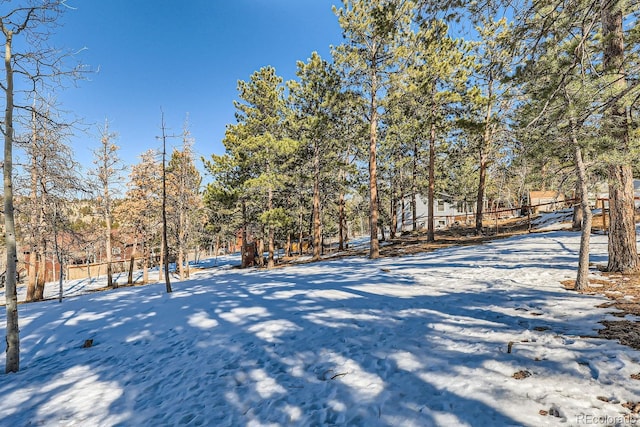 41 Yew Ln, Bailey, CO 80421 - view of yard