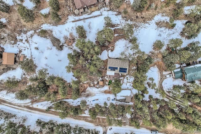 41 Yew Ln, Bailey, CO 80421 - drone / aerial view
