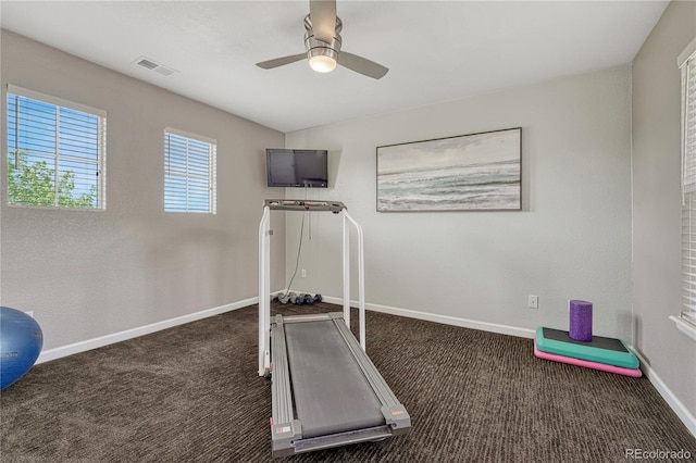 exercise area featuring ceiling fan, carpet, and visible vents