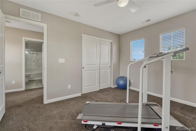 22965 Allendale Ave, Parker, CO 80138 - workout room featuring carpet and ceiling fan