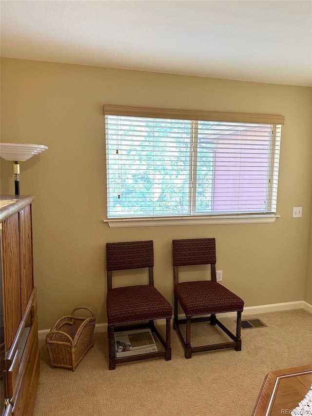 living area with carpet flooring