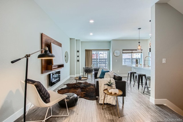 living room featuring hardwood / wood-style floors