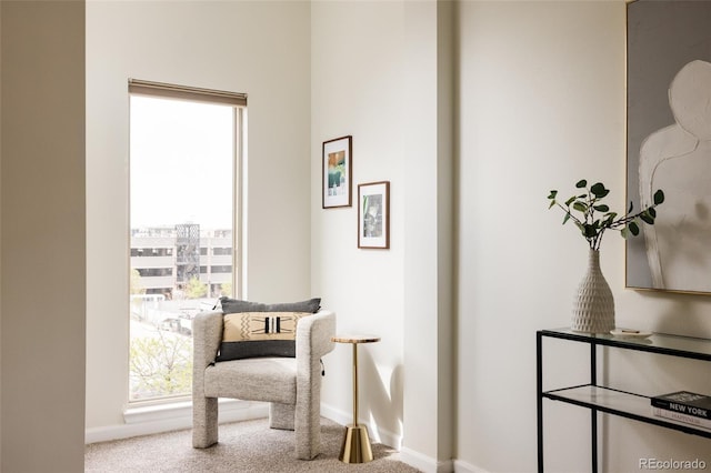 2680 Blake St Unit 12, Denver, CO 80205 - living area with carpet floors, plenty of natural light, and baseboards