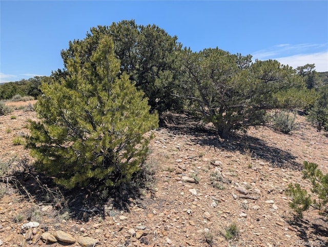 LOT3885 Galloway Rd, Fort Garland, CO 81133