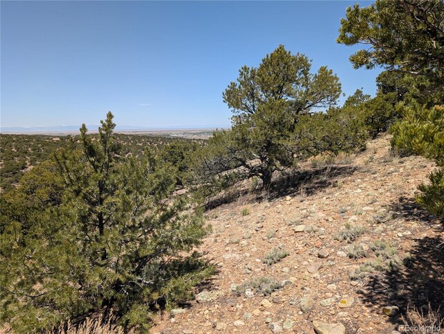 LOT3885 Galloway Rd, Fort Garland, CO 81133