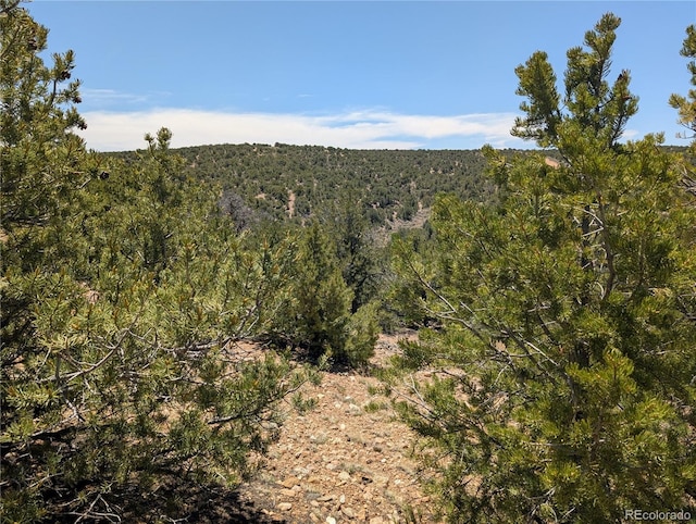 LOT3885 Galloway Rd, Fort Garland, CO 81133