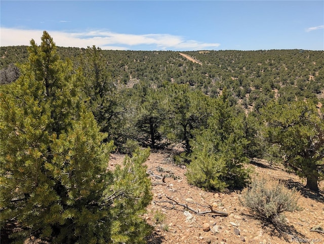 LOT3885 Galloway Rd, Fort Garland, CO 81133