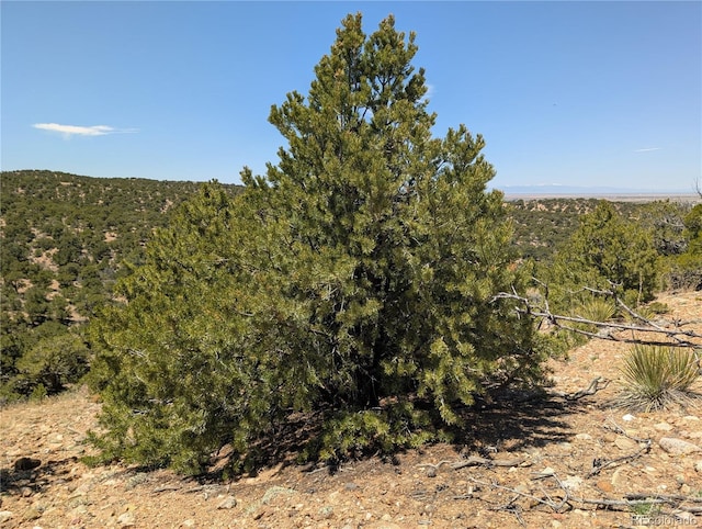 LOT3885 Galloway Rd, Fort Garland, CO 81133