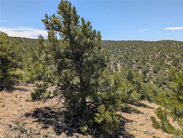LOT3885 Galloway Rd, Fort Garland, CO 81133
