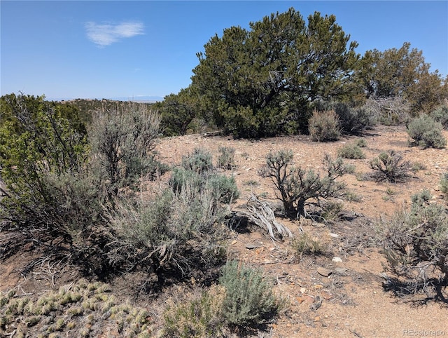 LOT3885 Galloway Rd, Fort Garland, CO 81133