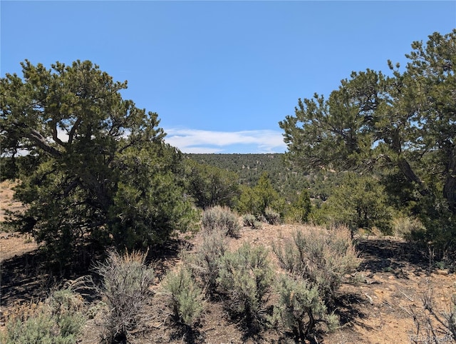 LOT3885 Galloway Rd, Fort Garland, CO 81133