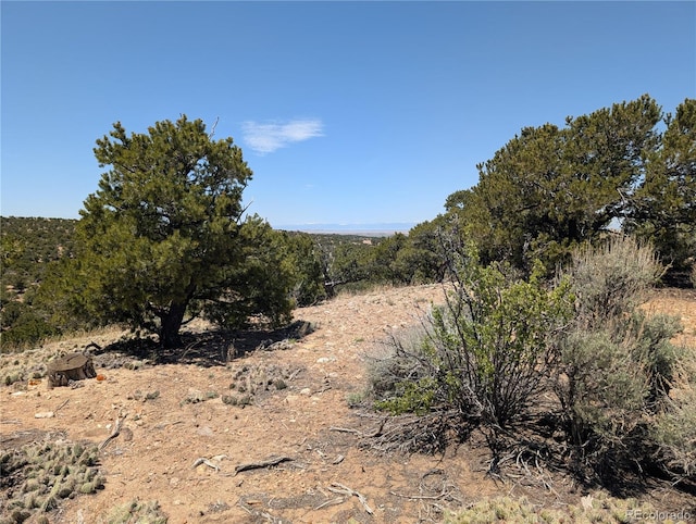LOT3885 Galloway Rd, Fort Garland, CO 81133