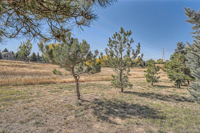 view of yard featuring a rural view