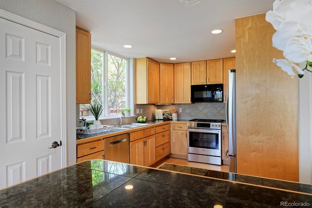 645 1st Ave, Lyons, CO 80540 - photo 18