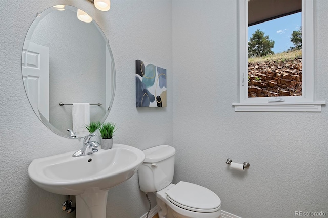 645 1st Ave, Lyons, CO 80540 - photo 26