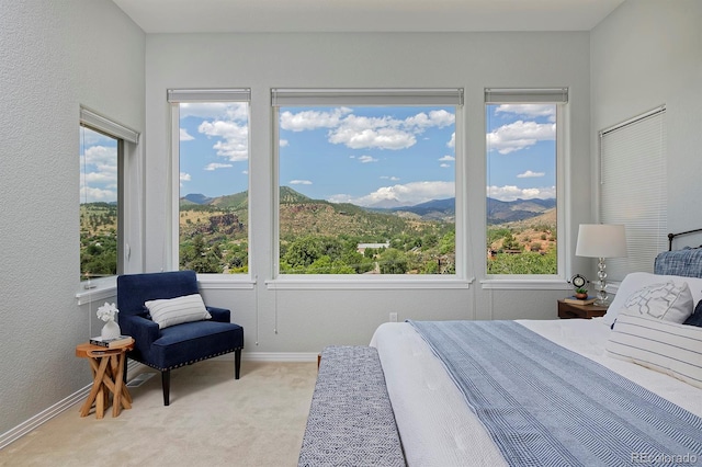 645 1st Ave, Lyons, CO 80540 - photo 31