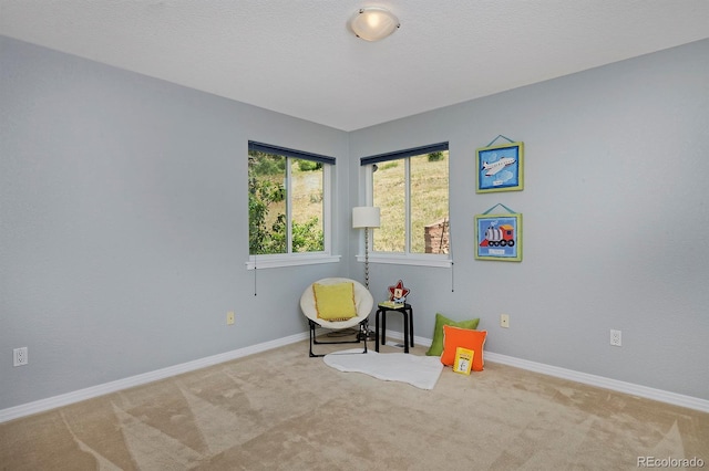 645 1st Ave, Lyons, CO 80540 - photo 37