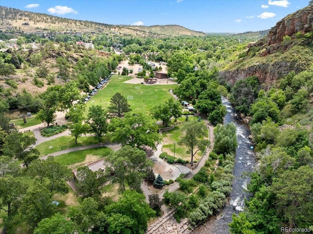 645 1st Ave, Lyons, CO 80540 - photo 49
