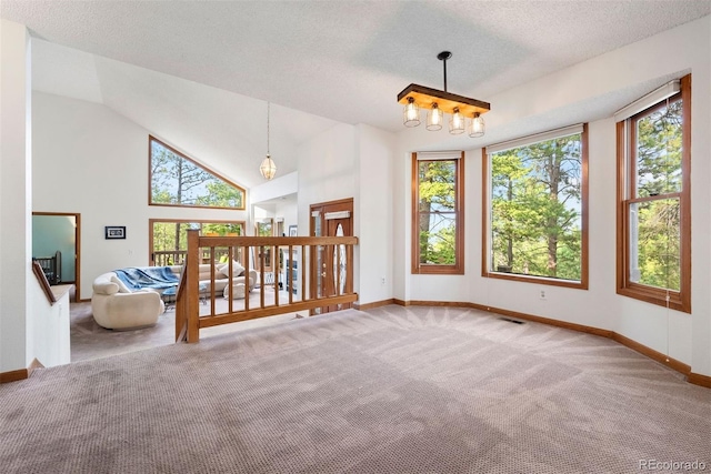 23599 Shingle Creek Rd, Golden, CO 80401 - unfurnished room featuring carpet, a textured ceiling, and high vaulted ceiling