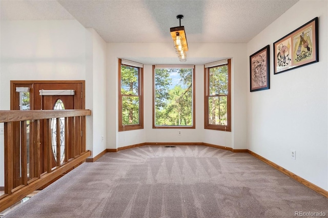 23599 Shingle Creek Rd, Golden, CO 80401 - carpeted spare room with healthy amount of natural light and a textured ceiling