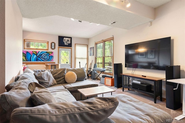 23599 Shingle Creek Rd, Golden, CO 80401 - carpeted living room featuring a textured ceiling