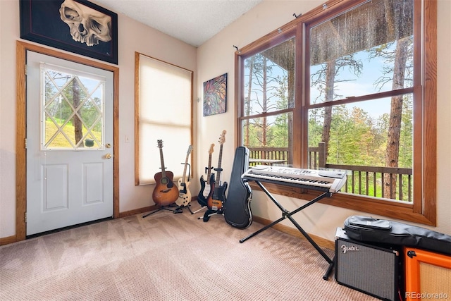 23599 Shingle Creek Rd, Golden, CO 80401 - miscellaneous room featuring healthy amount of natural light and carpet