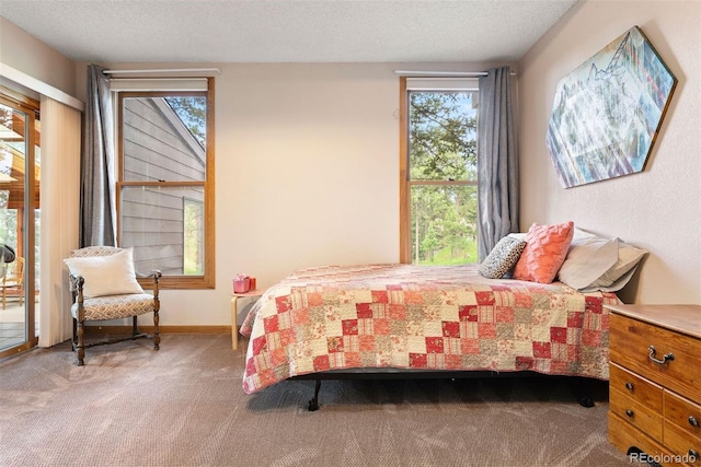23599 Shingle Creek Rd, Golden, CO 80401 - carpeted bedroom with a textured ceiling