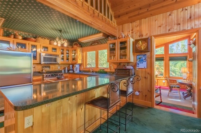 kitchen featuring a wealth of natural light, appliances with stainless steel finishes, dark carpet, sink, and kitchen peninsula