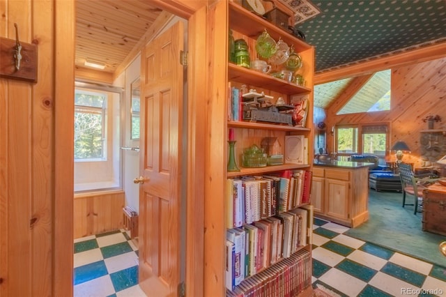 corridor featuring wood ceiling and a healthy amount of sunlight